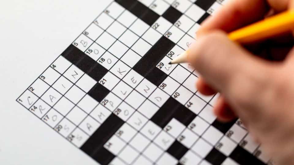 כמה עולה פתרון לתשחץ?
